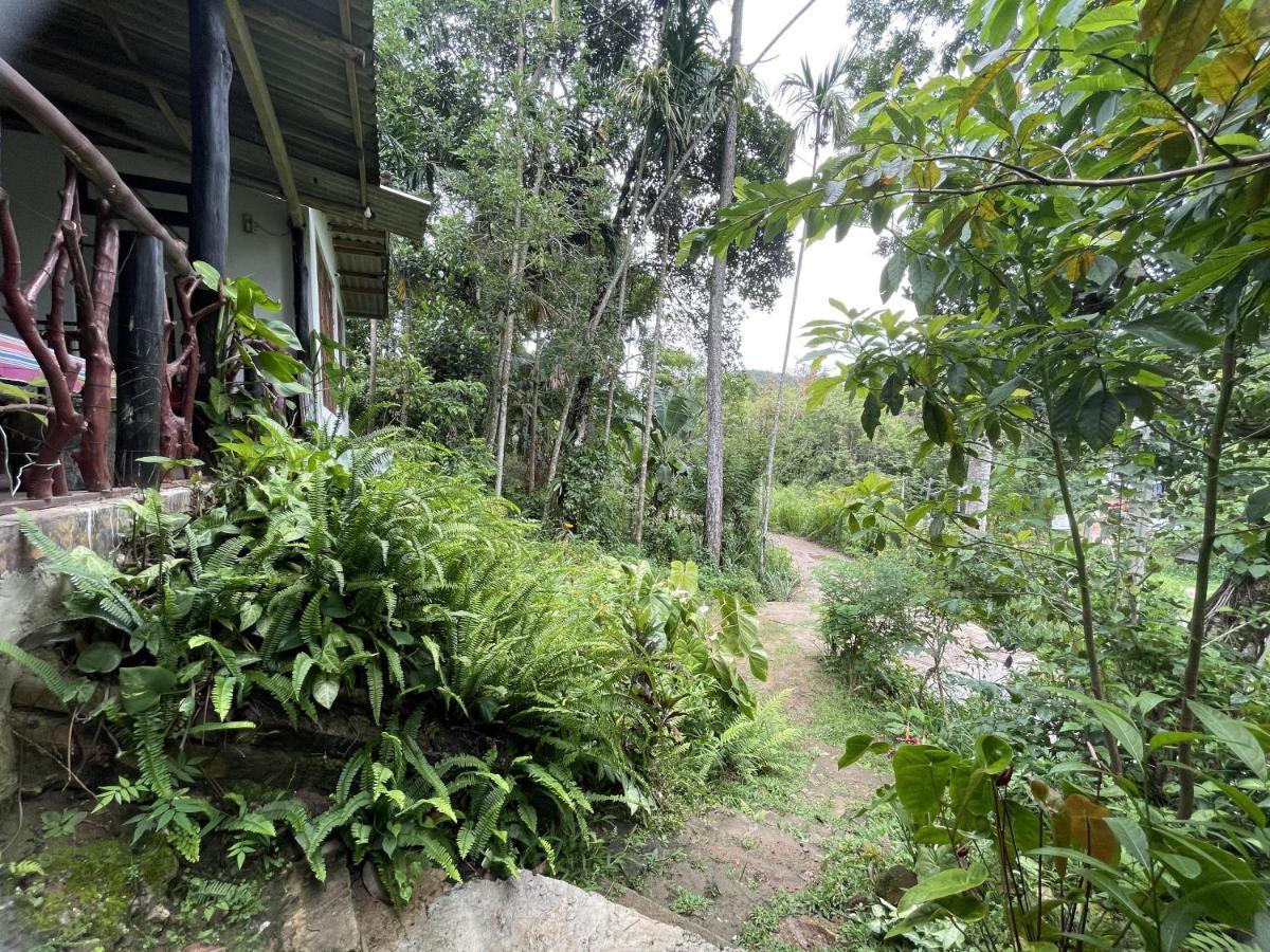 Sri Bhavan Ella Apartment Exterior photo